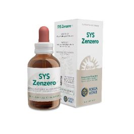 Sys Zencero (Jengibre) Sys Zencero (Jengibre) Precio: 19.5000003. SKU: B14Y92257Y