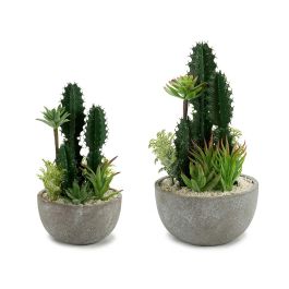 Centro de Cactus Redondo Surtido 2 - Ibergarden 15.5x29x15.5 cm, Verde, Gris, Blanco (6 Unidades) Precio: 55.94999949. SKU: B168VX6VR3