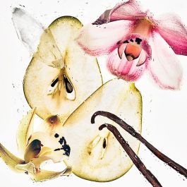 Calvin Klein CK Nude Vanilla Body Mist Unisex 236 ml | Niebla Corporal Hidratante con Vainilla, Almizcle y Maderas Ambarinas