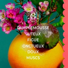 Roger & Gallet FLEUR DE FIGUIER Perfume Sólido Bienestar 5 gr