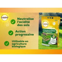 SOLABIOL SOCHAUX10 Carbonato de Cal y Magnesio - 10 Kg SOLABIOL SOCHAUX10 Carbonato de Cal y Magnesio - 10 Kg