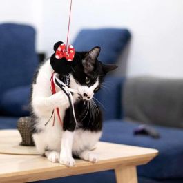 Cerdá Varita para Gato Minnie Negra, dimensiones 3 x 7 x 46 cm