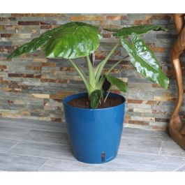 Jardinera redonda RIVIERA EVA NEW - Plástico - Diámetro 31 cm - Azul Jardinera redonda RIVIERA EVA NEW - Plástico - Diámetro 31 cm - Azul