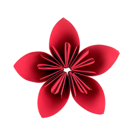 Liderpapel Bloc Trabajos Manuales Cartulina 240x315mm 10 Hojas Colores Surtidos Gramaje 180 g/m²