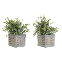 DKD Home Decor Planta Artificial Decorativa Verde Musgo de Resina y PE para Interiores y Decoración - Pack 12 Unidades - 19x19x27 cm Precio: 90.49999948. SKU: B14V634RJ6