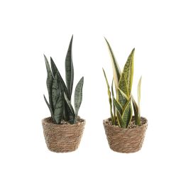 DKD Home Decor Planta Verde Amarillo 13 x 35 x 13 cm (6 Unidades) Precio: 53.78999945. SKU: B1BEN5LGV9