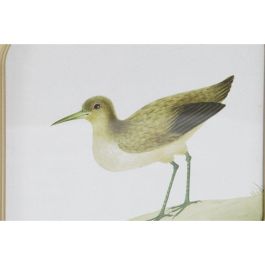 Cuadro Cottage DKD Home Decor Beige Verde 2 x 30 x 30 cm (6 Unidades) Cuadro Cottage DKD Home Decor Beige Verde 2 x 30 x 30 cm (6 Unidades)