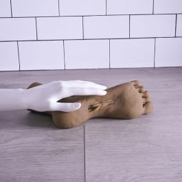 Masturbador Masculino Zero Tolerance Zero Tolerance Marrón