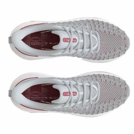 Zapatillas de Running para Adultos Under Armour Infinite Elite Gris