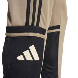 Pantalón de Entrenamiento de Fútbol para Adultos Adidas Squadra25 Tr XS
