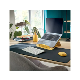 Raton Leitz Optico Inalambrico Dual Cosy Gris