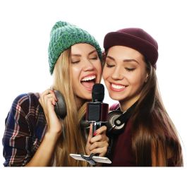 Lenco BMC-090 Micrófono Karaoke Inalámbrico Bluetooth 5W Negro con Altavoces Integrados
