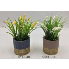 DKD Home Decor Planta Amarillo Blanco 9 x 21 x 9 cm (12 Unidades) Precio: 40.49999954. SKU: B1G9T7KEHV