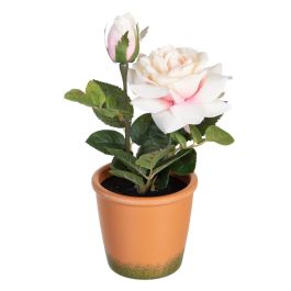 Planta Rosas 3/M Blanco-Rosa Artificial 13 X 13 X 28 cm