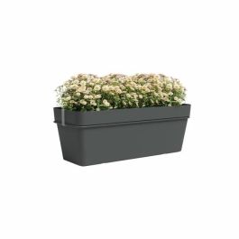 ARTEVASI - Kit balcón macetero capri re 50cm v2 antracita 50,2 x 28,5 x h20 cm - 1,45l ARTEVASI - Kit balcón macetero capri re 50cm v2 antracita 50,2 x 28,5 x h20 cm - 1,45l