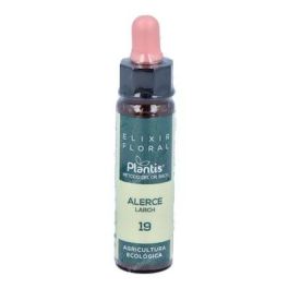 Plantis Larch Flores de Bach Nº 19 Elixir Floral Ecológico 10ml Plantis Larch Flores de Bach Nº 19 Elixir Floral Ecológico 10ml Precio: 10.5000005. SKU: B1DDJNELJD