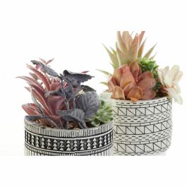 Planta Boho DKD Home Decor Multicolor 11 x 21 x 11 cm (2 Unidades)