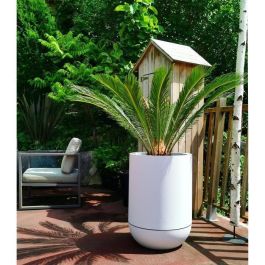 Jardinera redonda RIVIERA GRANIT TULIP - Plástico - Diámetro 40 cm - Blanco Jardinera redonda RIVIERA GRANIT TULIP - Plástico - Diámetro 40 cm - Blanco