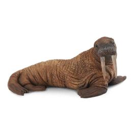 Morsa -L- 88569 Collecta Precio: 7.9618. SKU: B1AXTXP5PV