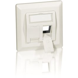 Equip Unterputzdose +Frontplatte 2 Keystone 45° RAL 1013 Polybeutel Precio: 19.49999942. SKU: B169HLP62N