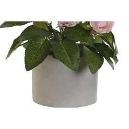 DKD Home Decor Planta Rosa Palo Fucsia 16 x 25 x 16 cm (12 Unidades)