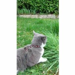 AIMÉ AIM3281019020594 Kit de Arnés y Correa Reflectante Rojo para Gatos