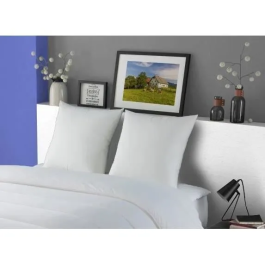 Dodo MERIBEL Set de 2 Almohadas Plumettes 60x60cm