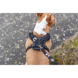 Arnés para Perro Trixie Premium FlexMesh Negro L