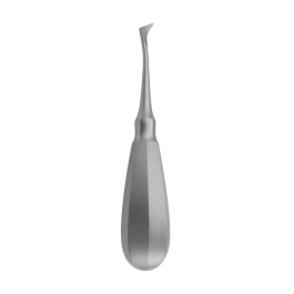 Covetrus Elevador Cryer Nr Type C para extracción dental Precio: 31.50000018. SKU: B17TMLKLZL