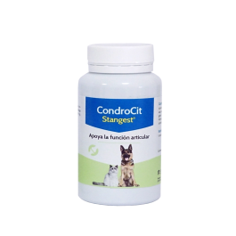 Stangest Condrocit Stanvet 60 Comprimidos - Reparador de cartílagos y articulaciones Precio: 23.4999996. SKU: B1JXJYLEA3