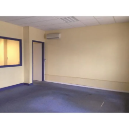 FARTOOLS Limpiador 3 en 1: Champú, Aspiradora de Agua y Polvo SPO 20 L, 1250W, Tanque PVC