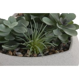 DKD Home Decor Planta Gris Verde Cemento PE 15 x 14 x 15 cm (12 Unidades)