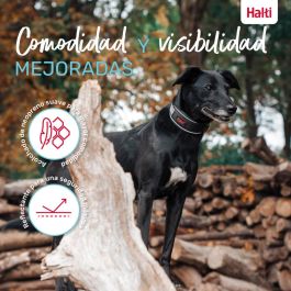 Collar para Perro Company of Animals Gris