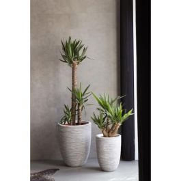 Capi Europe AUC8716443061721 Maceta Baja Elegante RIB NL 46x58cm Marfil