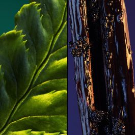 Guerlain JICKY Eau de Parfum Vaporizador Unisex 75 ml Fougère Ámbar