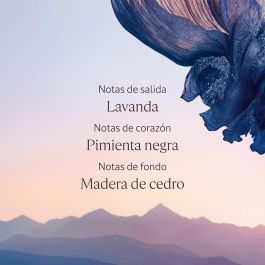 L'OCCITANE EN PROVENCE Desodorante Roll On Lavande Poivre Noir 50 ml