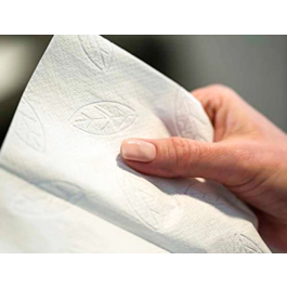 Tork H2 Toalla de Papel Secamanos Engarzada 2 Capas 21x32 cm Paquete 200 Unidades