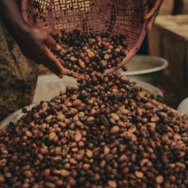 L'Occitane Leche Limpiadora 200ml