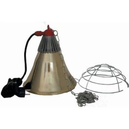 Portalámparas individual Ipx4 5m - Ascensor eléctrico Precio: 37.50000056. SKU: B1BSLGPPFP