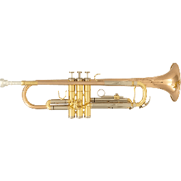 SML Tp600 Trompeta Sib, compacta para músicos, con dimensiones de 20x30x59 cm