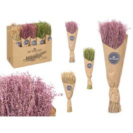 Giftdecor Ramillete de Centeno Natural Surtido, Vegetal, Colores Natural, Verde y Morado, 10x40x10 cm Precio: 53.49999996. SKU: B1KEWMDDYD