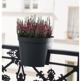 Garden Id 05011339 Maceta Balaustrada Smile Antracita 30 cm con Reserva de Agua, Reciclada y 100% Reciclable, para Barandillas Garden Id 05011339 Maceta Balaustrada Smile Antracita 30 cm con Reserva de Agua, Reciclada y 100% Reciclable, para Barandillas