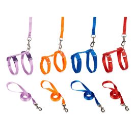 Mascow Arnés para Gatos Surtidos Colores Azul, Morado, Naranja, Rojo 18x2x24 cm (36 Unidades)