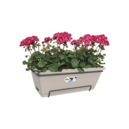 Elho Allin1 55 Jardinera Barcelona XL rectangular de plástico taupe 18L con drenaje para balcón y exterior Elho Allin1 55 Jardinera Barcelona XL rectangular de plástico taupe 18L con drenaje para balcón y exterior