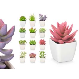 Maceta Cuadrada Surt Peq Ibergarden 5X10CM (48 Unidades) Precio: 46.58999972. SKU: B1D2HBYWX6