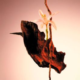 Hugo Boss The Scent Le Parfum Eau de Parfum para Mujer 30ml