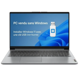 Lenovo IdeaPad 1 15AMN7 82VG00XPFR