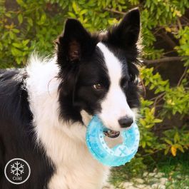 Juguete Mordedor Congelable para Mascotas 2 en 1 Glubiz InnovaGoods Juguete Mordedor Congelable para Mascotas 2 en 1 Glubiz InnovaGoods