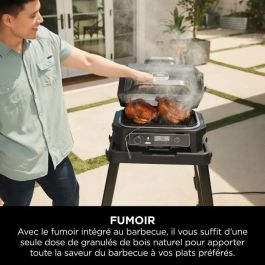 Barbacoa y ahumador eléctrico con termómetro - NINJA - Woodfire Pro XL - OG850EU - Barbacoa y freidora de exterior Barbacoa y ahumador eléctrico con termómetro - NINJA - Woodfire Pro XL - OG850EU - Barbacoa y freidora de exterior