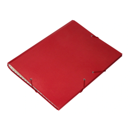 Liderpapel Carpeta Clasificadora Folio Prolongado Cartón Forrado 12 Departamentos Color Rojo